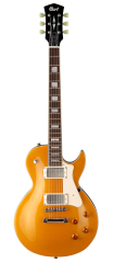 CORT CR200 (GOLD TOP)