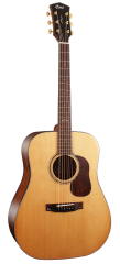 CORT GOLD-D6 (NATURAL)