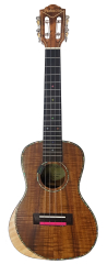 PARKSONS UK24KOS-E