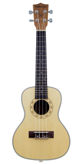 PARKSONS UK24C
