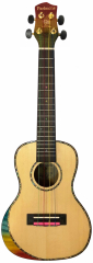 PARKSONS UK24EM