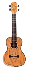 PARKSONS UK24FS
